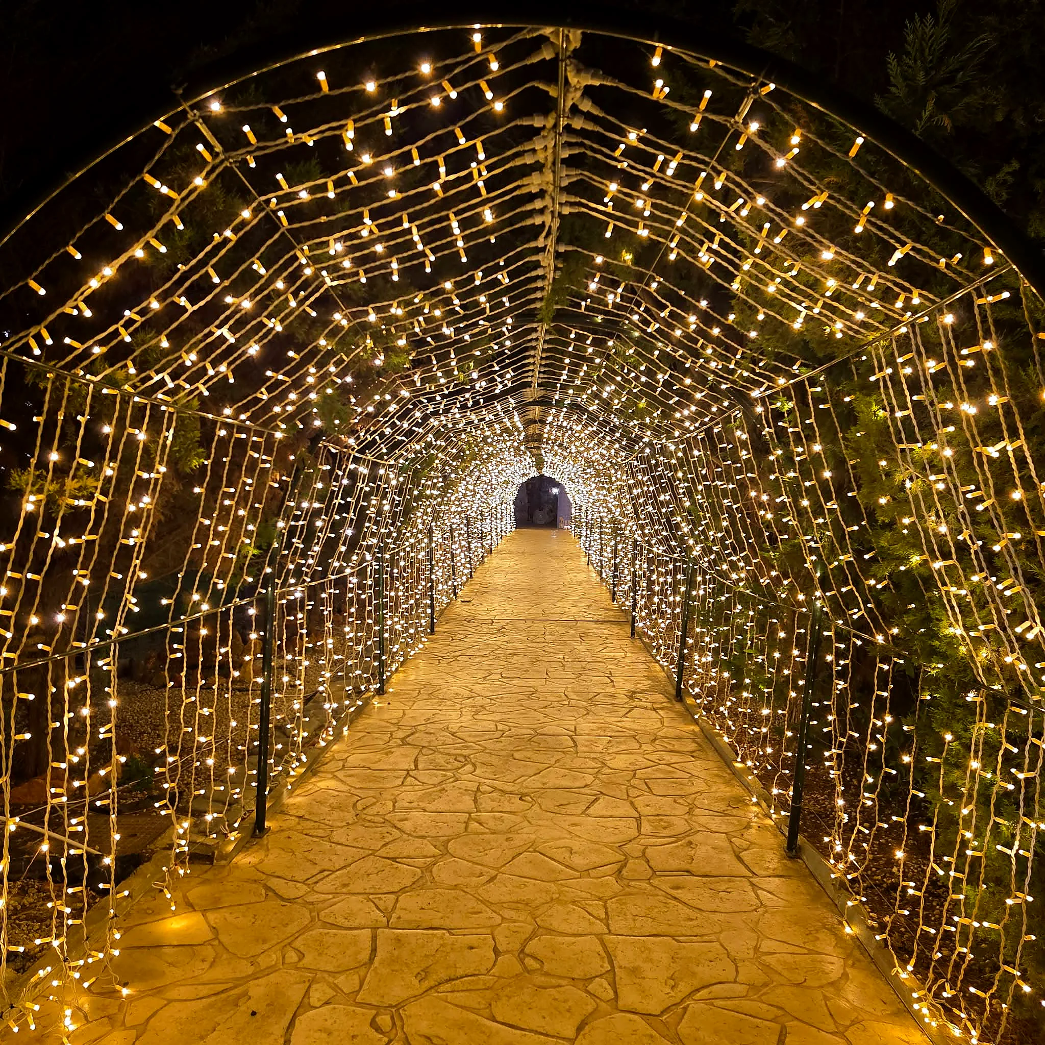A long garden walkway covered by a tunnel of warm golden fairy lights at night