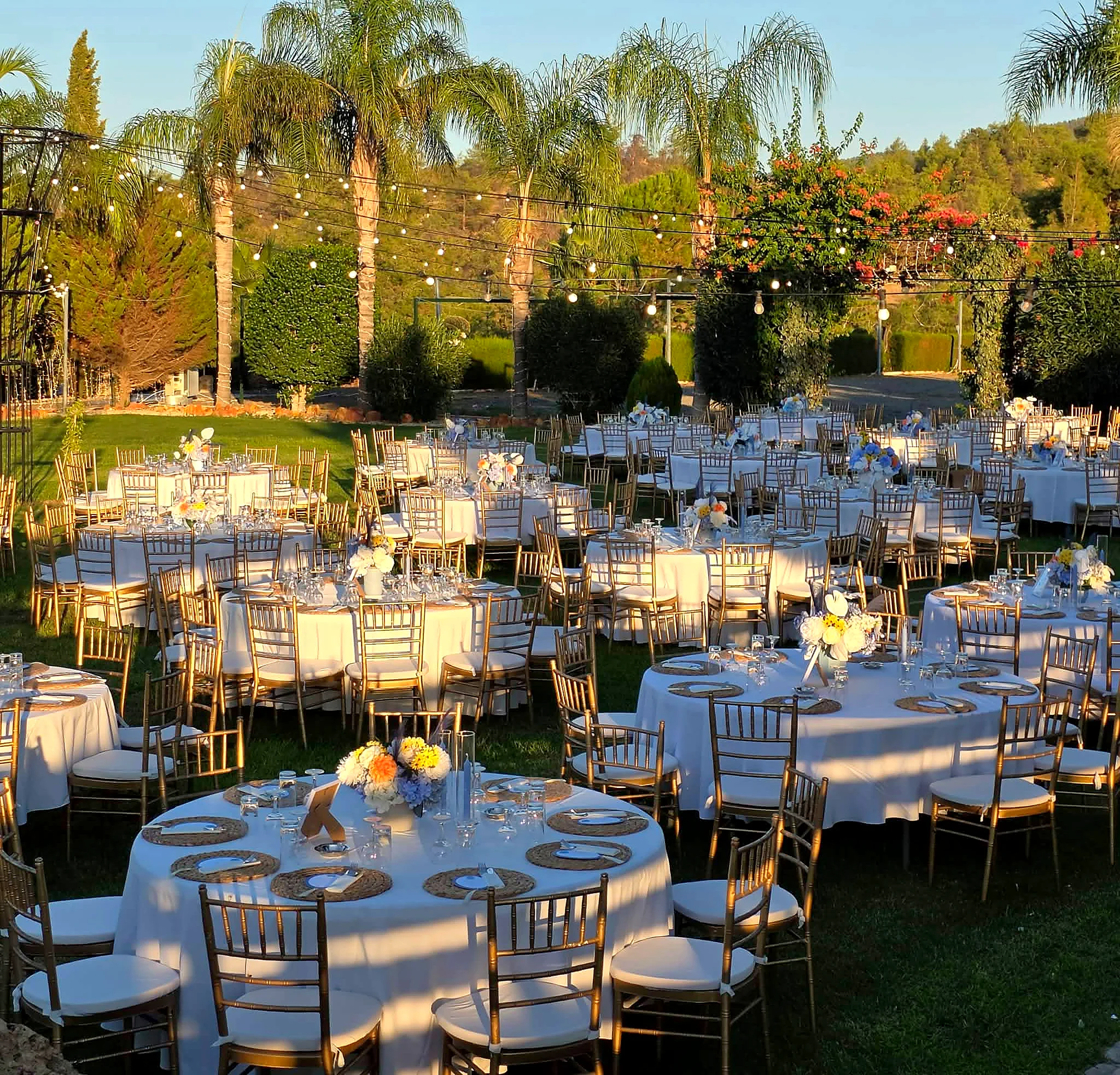 An outdoor celebration laid out among palm trees and lawns in Cyprus